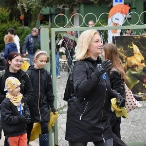 psie-sprzatanie-fot-zjak84.jpg