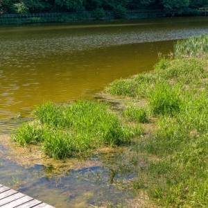 zalew-zlotoryjski-fot-zjak23.jpg