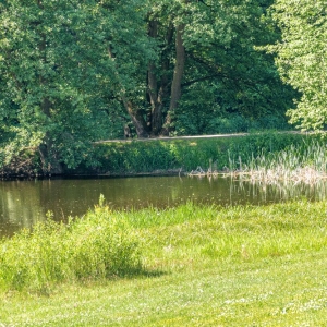 zalew-zlotoryjski-fot-zjak29.jpg