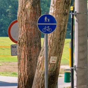 zalew-zlotoryjski-fot-zjak59.jpg