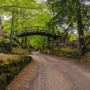 ogrod-japonski-fot-ewajak05.jpg