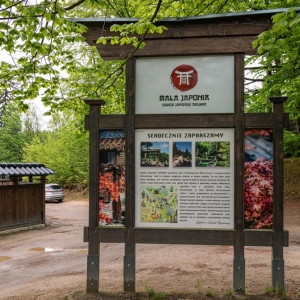 ogrod-japonski-fot-ewajak06.jpg