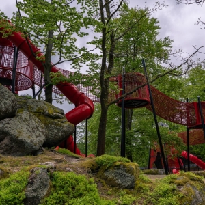ogrod-japonski-fot-ewajak07.jpg