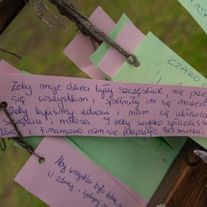 ogrod-japonski-fot-ewajak18.jpg
