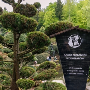 ogrod-japonski-fot-ewajak25.jpg