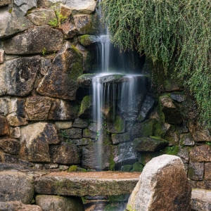 ogrod-japonski-fot-ewajak34.jpg