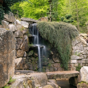 ogrod-japonski-fot-ewajak38.jpg