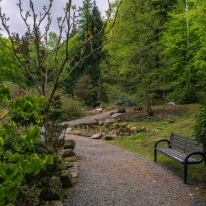ogrod-japonski-fot-ewajak43.jpg