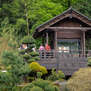 ogrod-japonski-fot-ewajak47.jpg