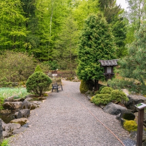 ogrod-japonski-fot-ewajak48.jpg