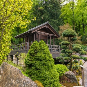 ogrod-japonski-fot-ewajak52.jpg