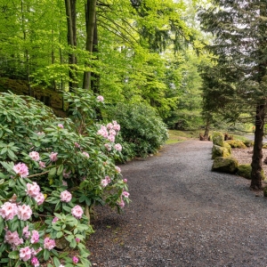 ogrod-japonski-fot-ewajak58.jpg