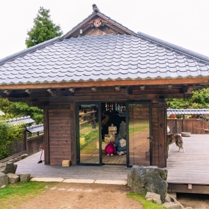 ogrod-japonski-fot-ewajak70.jpg