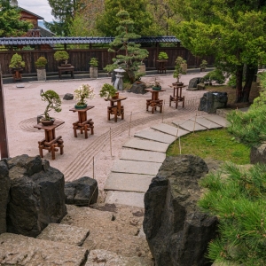 ogrod-japonski-fot-ewajak71.jpg