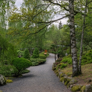 ogrod-japonski-fot-ewajak74.jpg