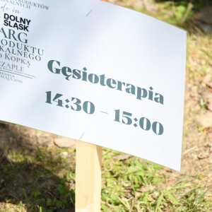 czaple-targ-fot-zjak81.jpg