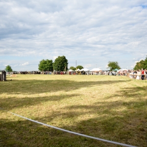 Bitwa-pod-Legnica-fot-BS_313.jpg