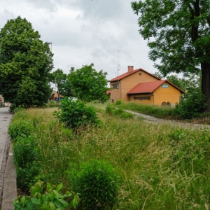 centrum-przesiadkowe-jawor2.jpg