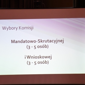 wybory-do-lsm-fot-ewajak165.jpg