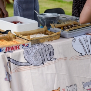 letnie-grilowanie-w-jaworze-fot-BS_36.jpg