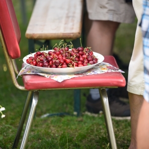 letnie-grilowanie-w-jaworze-fot-BS_52.jpg