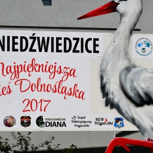 jubileusz-przyjaciolek-fot-zjak01.jpg