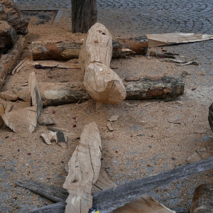 plener-plastyczny-fot-zjak05.jpg