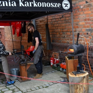 warownia-zamek-fot-ewajak110.jpg