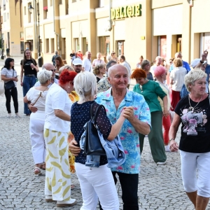 potancowka_legnica1107_fot_dawid_soltys005.JPG