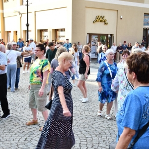 potancowka_legnica1107_fot_dawid_soltys056.JPG