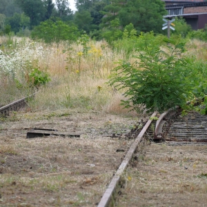 pociag-do-zagan-fot-zjak098.jpg