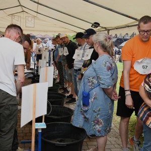 animus-plukanie-zlota-fot-zjak007.jpg