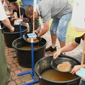 animus-plukanie-zlota-fot-zjak019.jpg