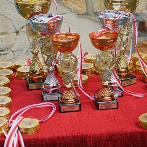 animus-plukanie-zlota-fot-zjak029.jpg