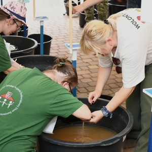 animus-plukanie-zlota-fot-zjak078.jpg