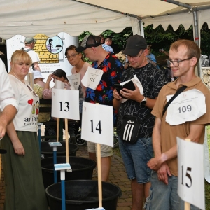 animus-plukanie-zlota-fot-zjak097.jpg