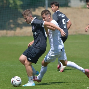 strzegon-jawor-fot-marcin-juszczyk42.jpg