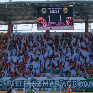 zl-slask-fot-ewajak101.jpg