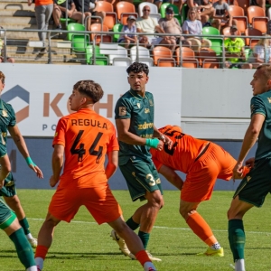 zl-slask-fot-ewajak111.jpg
