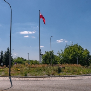 ronda-zachwaszczone-legnica-fot-ewajak003.jpg
