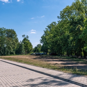 ronda-zachwaszczone-legnica-fot-ewajak010.jpg