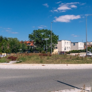 ronda-zachwaszczone-legnica-fot-ewajak015.jpg