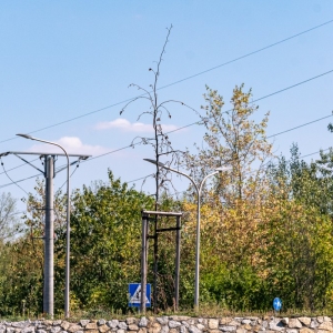 ronda-zachwaszczone-legnica-fot-ewajak039.jpg