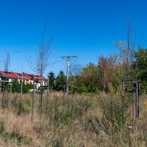 ronda-zachwaszczone-legnica-fot-ewajak048.jpg