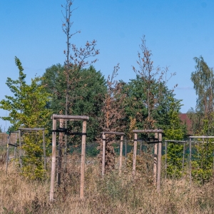 ronda-zachwaszczone-legnica-fot-ewajak082.jpg