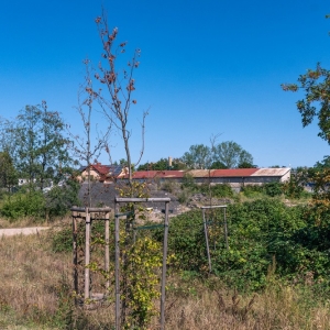 ronda-zachwaszczone-legnica-fot-ewajak088.jpg