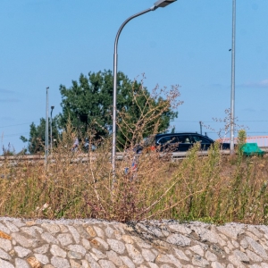ronda-zachwaszczone-legnica-fot-ewajak094.jpg