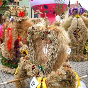 dozynki-gm-rudna-fot-zjak003.jpg