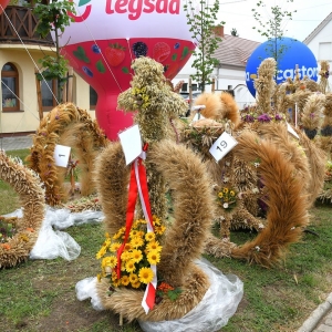 dozynki-gm-rudna-fot-zjak006.jpg