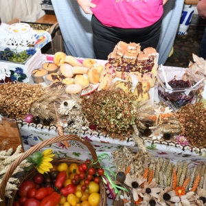dozynki-gm-rudna-fot-zjak180.jpg